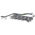 Pork and Beef Cutting Line
